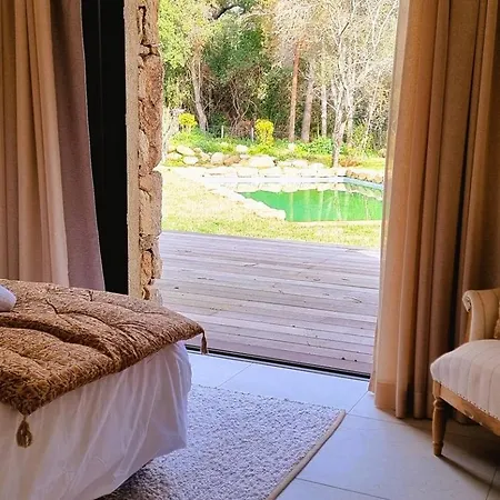 فيلة Domaine De Gialla Bergerie I Pini, 6 Pers, Piscine Chauffee, 10 Mn Arraggio