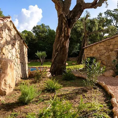 Domaine De Gialla Bergerie I Pini, 6 Pers, Piscine Chauffee, 10 Mn