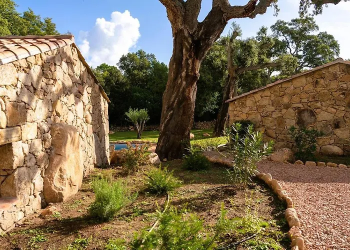 Domaine De Gialla Bergerie I Pini, 6 Pers, Piscine Chauffee, 10 Mn